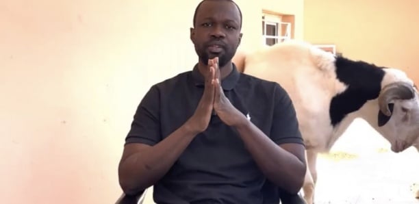 Lire la suite à propos de l’article « La grosse farce ! « par le professeur Ngouda Mboup